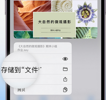 陇川apple维修中心分享iPhone文件应用中存储和找到下载文件