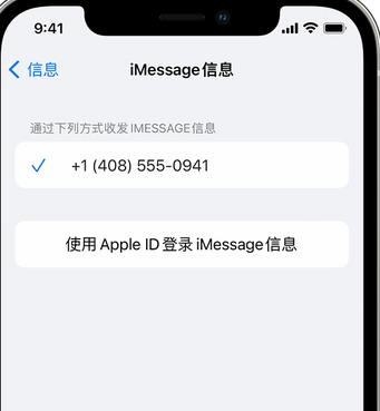 陇川apple维修iPhone上无法正常发送iMessage信息