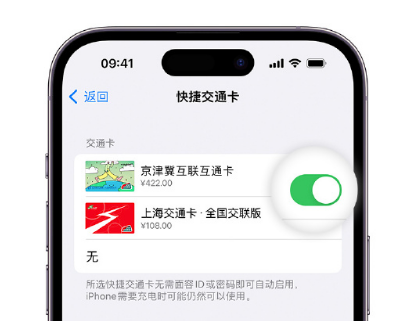 陇川apple维修点分享iPhone上更换Apple Pay快捷交通卡手绘卡面 