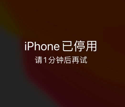 陇川苹果手机维修分享:iPhone 显示“不可用”或“已停用”怎么办？还能保留数据吗？ 