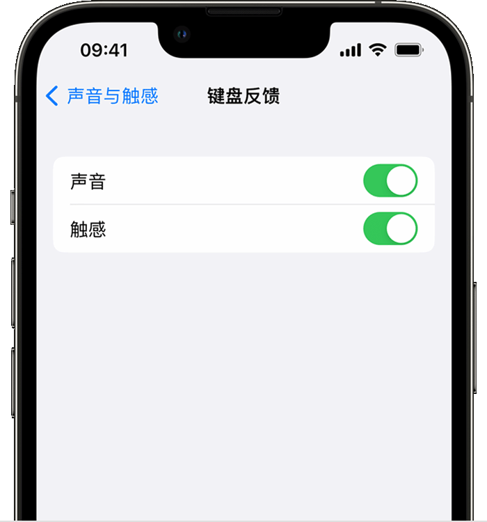 陇川苹果14维修店分享如何在 iPhone 14 机型中使用触感键盘 