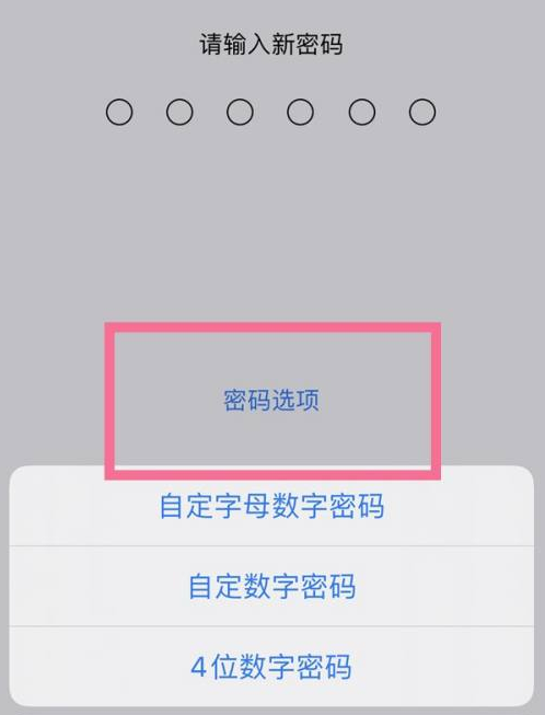 陇川苹果14维修分享iPhone 14plus设置密码的方法 