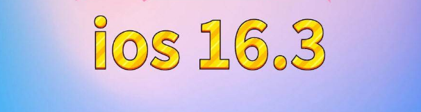 陇川苹果服务网点分享苹果iOS16.3升级反馈汇总 