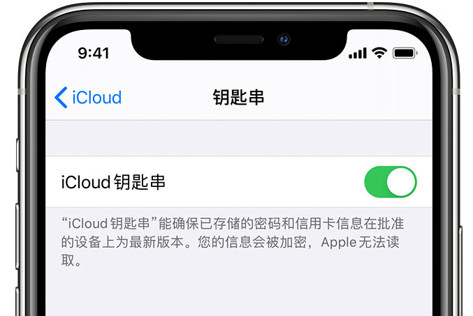 陇川苹果手机维修分享在 iPhone 上开启 iCloud 钥匙串之后会储存哪些信息 